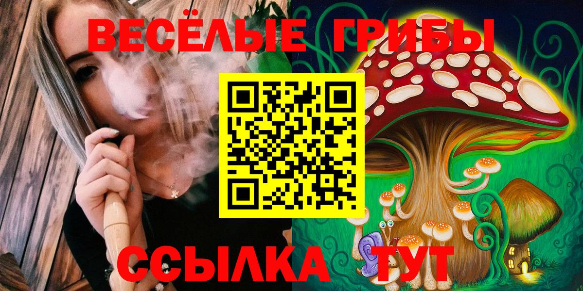 Миллерово  Галлюциногенные грибы GOLDEN TEACHER  Галлюциногенные грибы мицелий  как найти   Вход с VPN 