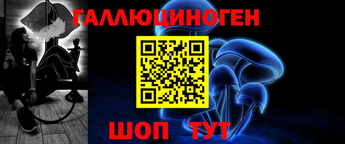 Псилоцибиновые грибы Cubensis Миллерово